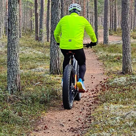 Lomahuoneisto Himoksen Koivula 27